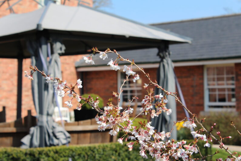 Stanfield's Care Home Garden for the Elderly